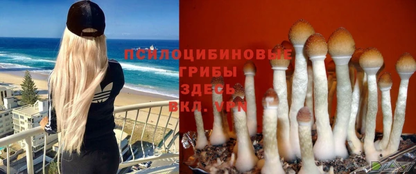 мет Аркадак