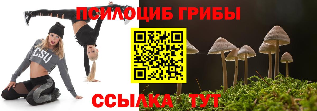 Галлюциногенные грибы MAGIC MUSHROOMS  Псилоцибиновые грибы ЛСД  Узловая  Вход с VPN 