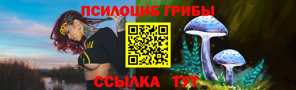 Галлюциногенные грибы Psilocybe Узловая